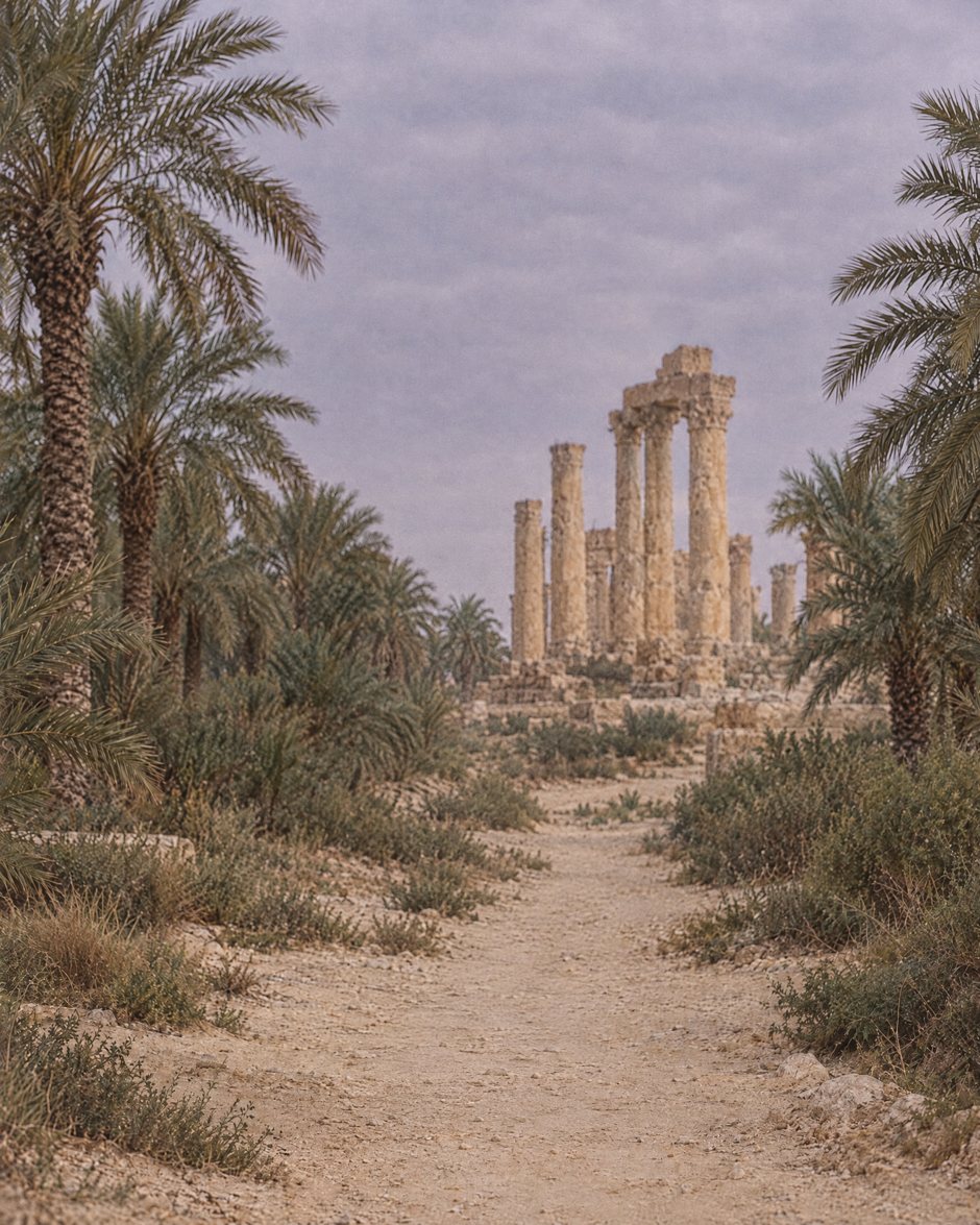 Date palms and old stone columns under a grey sky